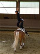 voltitag 2009 _CD1 144